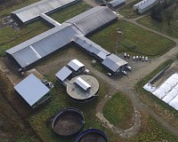 稲川牧場　バイオガス　牛舎　美瑛