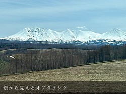 美瑛,稲川牧場,オプタテシケ,風景,美瑛の風景