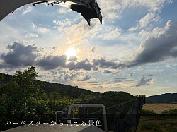稲川牧場 美瑛 牧草 畑 景色